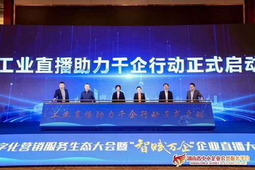 湖南省數字化營銷服務生態大會成功舉辦，賦能制造業數字化轉型