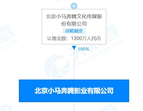 小馬奔騰影業被強制執行3852萬 昔日榮光何以褪色？